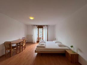Studio 2 personnes avec Parking Vionnaz